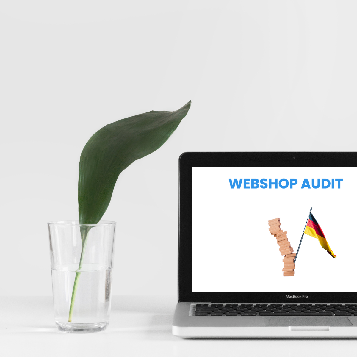 Vraag nu een webshop audit aan